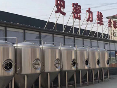 兴义精酿啤酒设备厂—如何判断精酿啤酒设备的密封件需要更换？